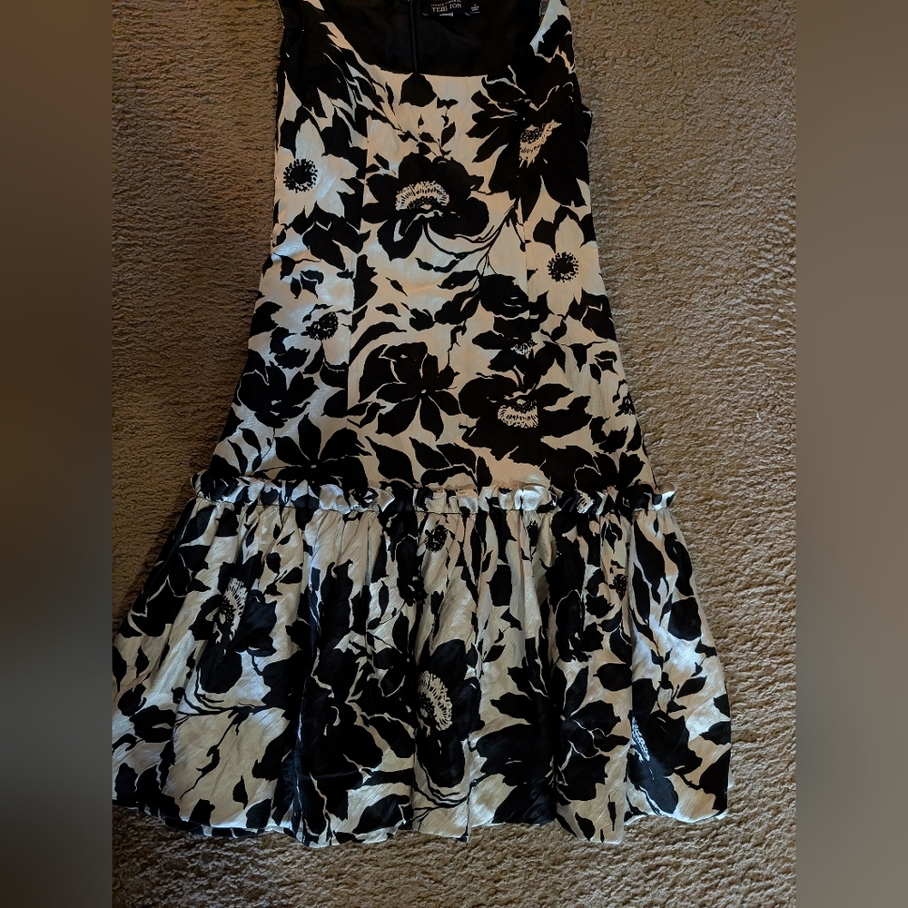 Teri Jonn 100 Silk Dress. Worn Only A Few Times.